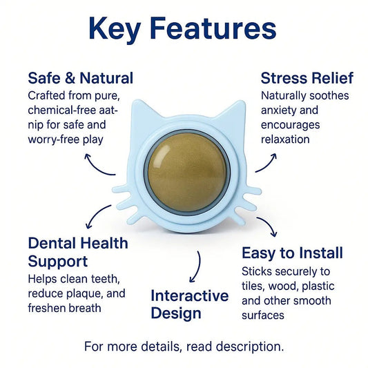 Catnip Toys – Natural Licking Balls for Stress Relief, Teeth Cleaning & Interactive Play – | Pawtaa – secondary image