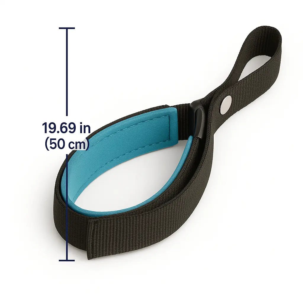 Hands Free Dog Leash – Adjustable, Durable & Reflective for Comfortable Walks – | Pawtaa