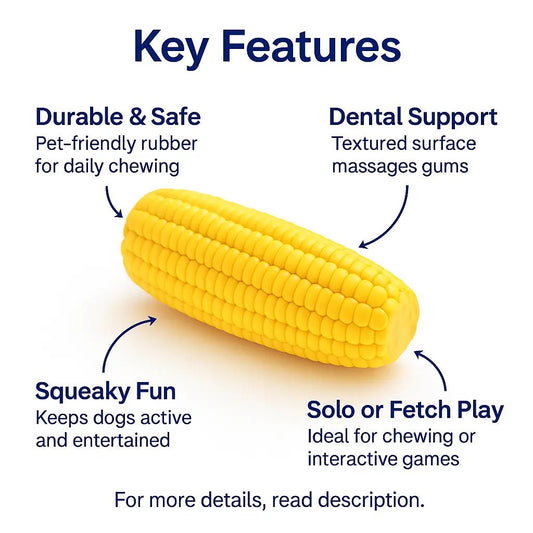 Dog Chew – Corn chew toy | Durable, Non - Toxic, Dental Benefits, Perfect for Small Dog – | Pawtaa – secondary image