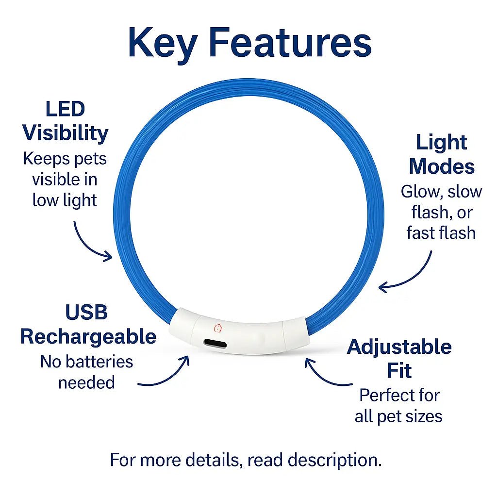 Light Up Dog Collar – USB Rechargeable, 3 Modes & Bright for Nighttime Safety – | Pawtaa