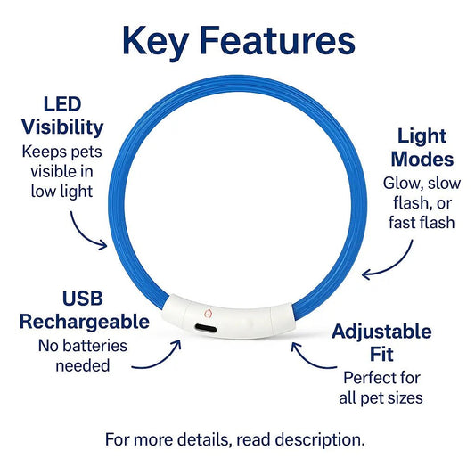 Light Up Dog Collar – USB Rechargeable, 3 Modes & Bright for Nighttime Safety – | Pawtaa – secondary image