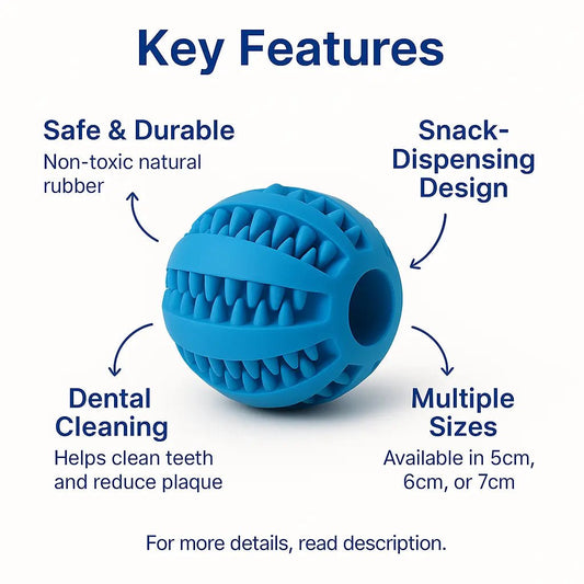 Rubber dog toys – Durable, dental - cleaning chew balls & snack dispensers – | Pawtaa – secondary image