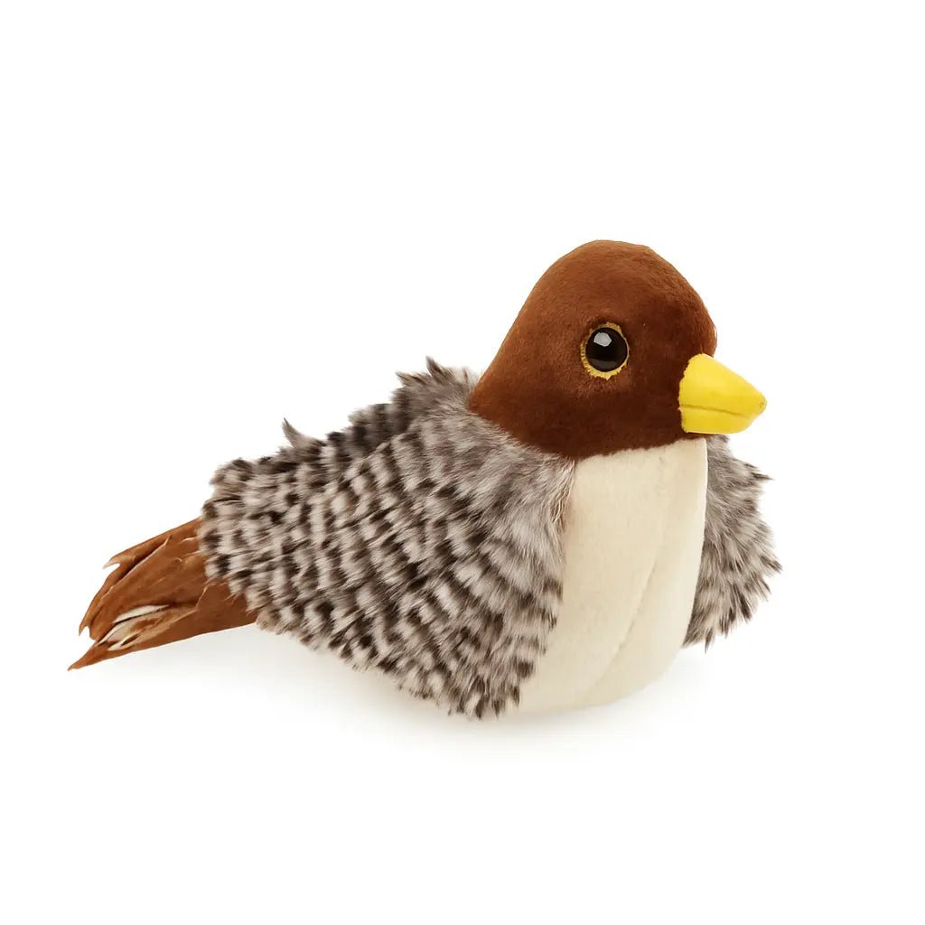 Flying Bird Cat Toy – Interactive, Motion - Activated & Durable for Active Cats – | Pawtaa