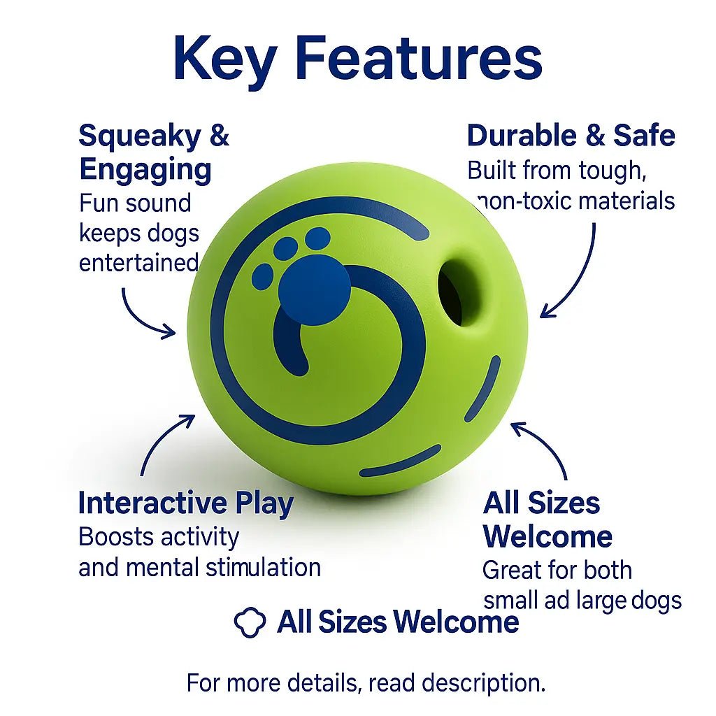 Squeaky toy sound – Doge big ball, durable, textured, interactive, and ideal for dental health – | Pawtaa