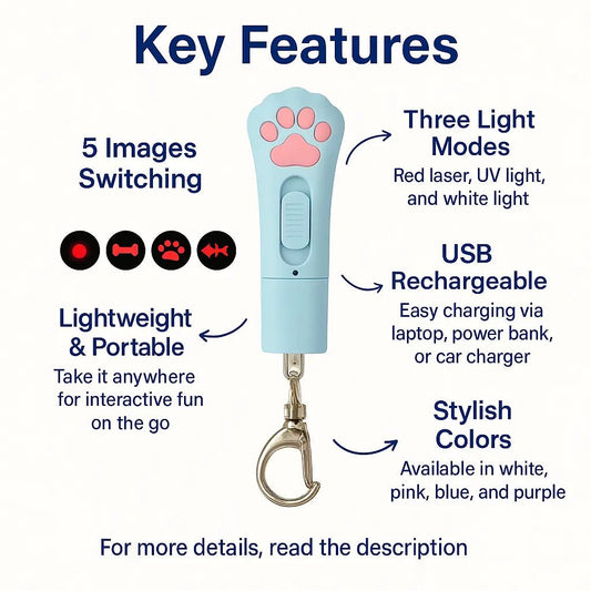 Laser Pointer Chaser – USB Rechargeable, 3 Modes, Interactive & Fun for Cats – | Pawtaa – secondary image
