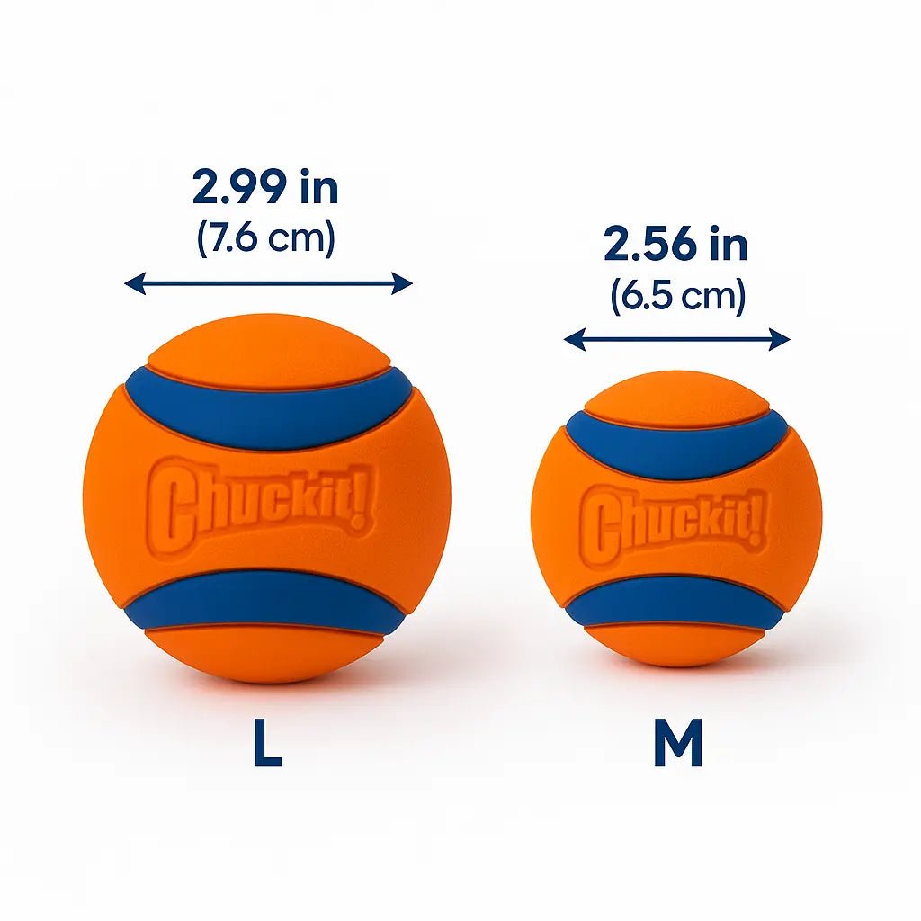 Dog Ball – Chuckit Ultra, durable, waterproof, bounce - enhancing, and safe for outdoor fetch games – | Pawtaa