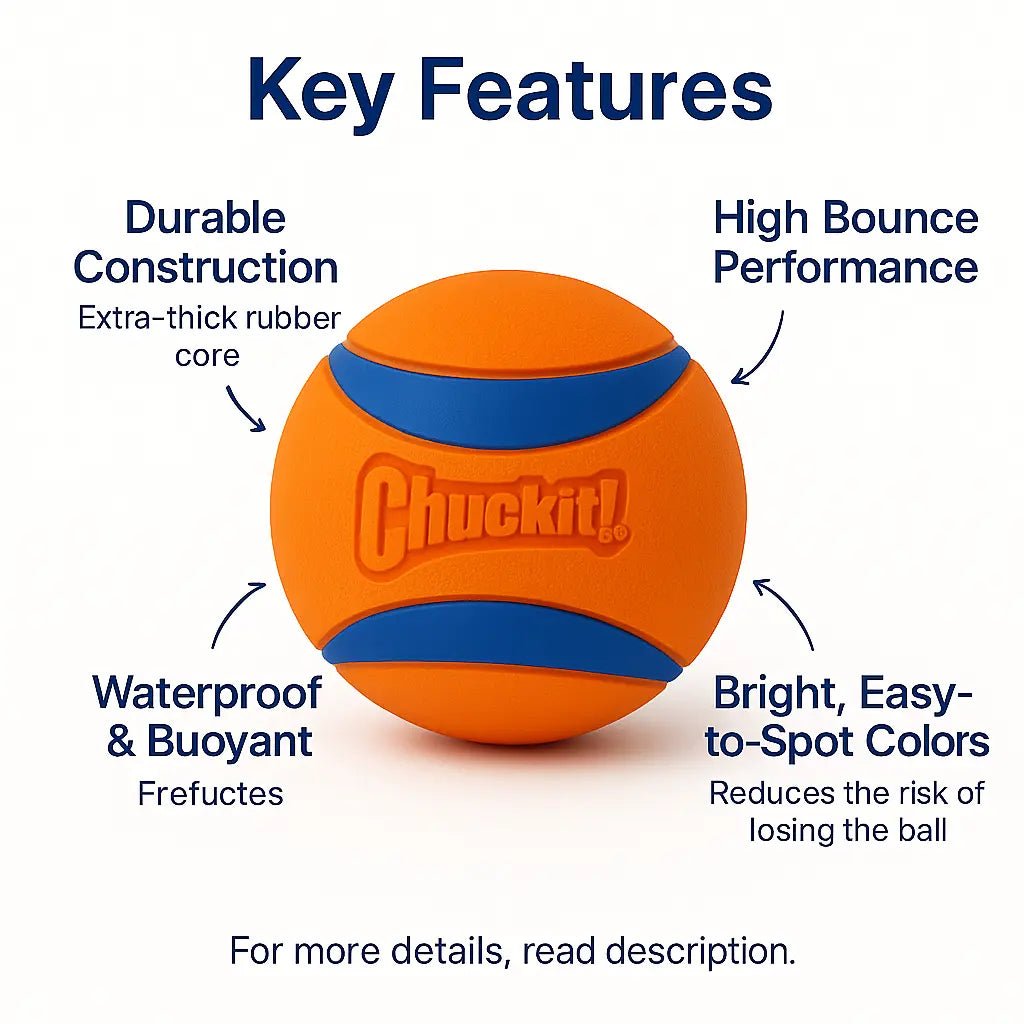Dog Ball – Chuckit Ultra, durable, waterproof, bounce - enhancing, and safe for outdoor fetch games – | Pawtaa