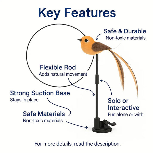 Flying Bird Cat Toy – Realistic, Safe, and Fun for Active Cats – | Pawtaa – secondary image