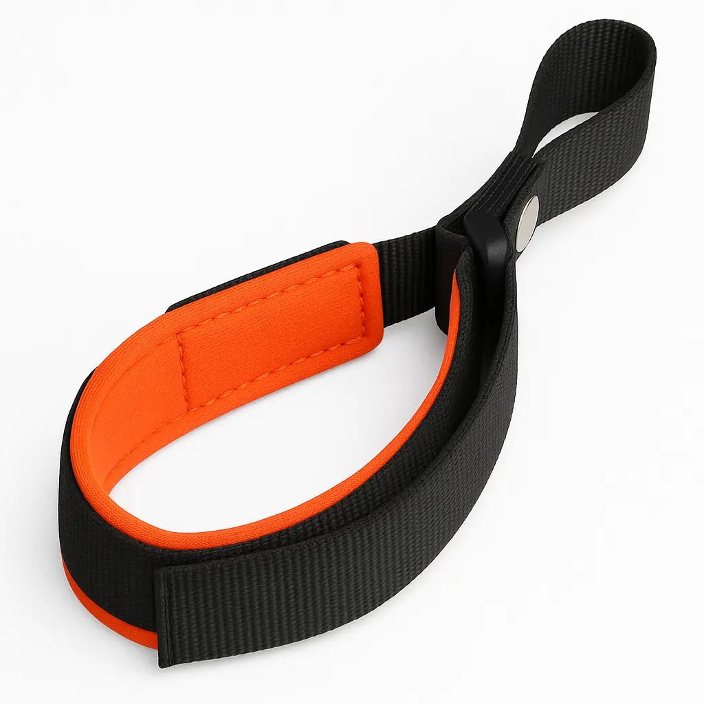 Hands Free Dog Leash – Adjustable, Durable & Reflective for Comfortable Walks – | Pawtaa