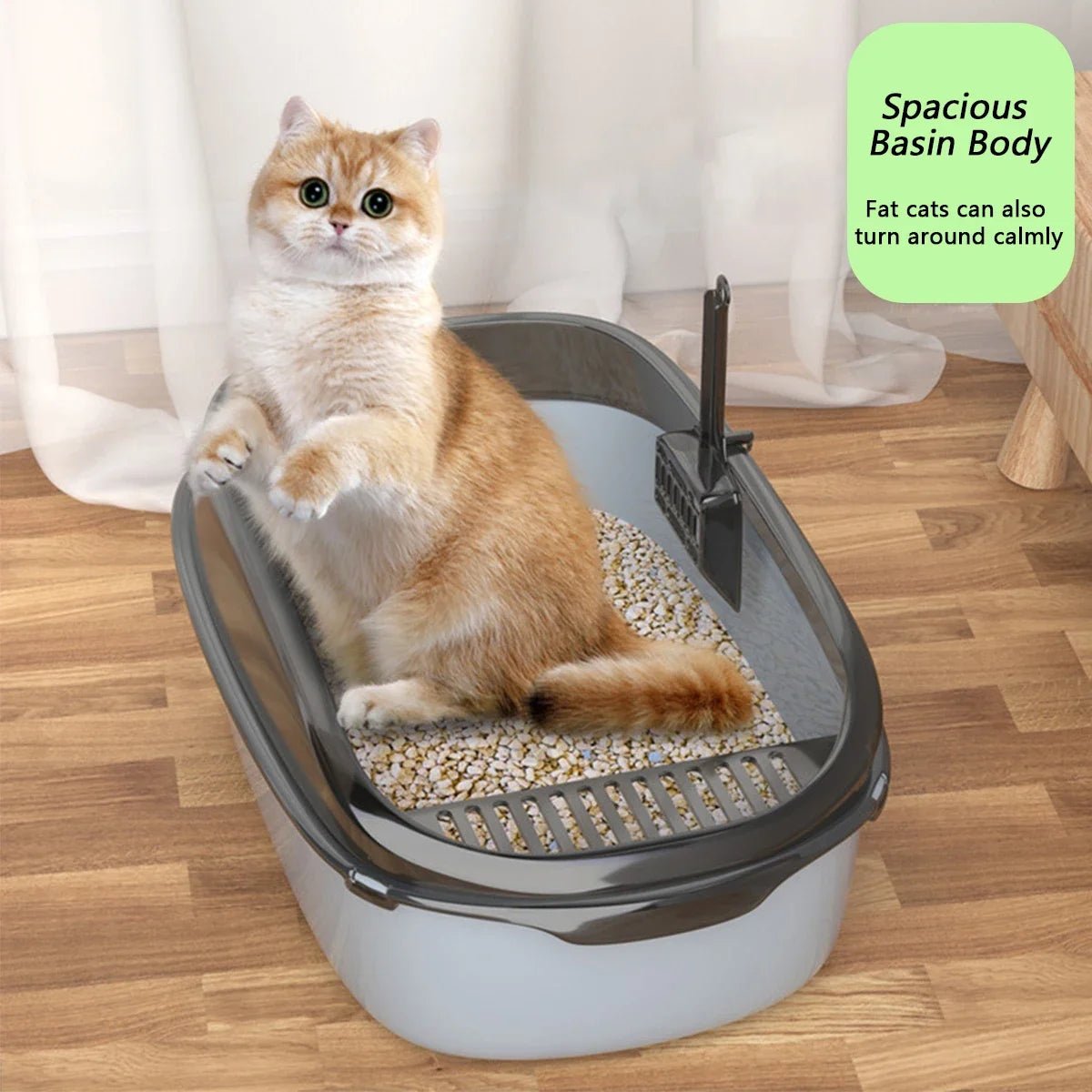 A cat sitting comfortably in a Semi-Enclosed Cat Litter Box with high sides and a sturdy base.