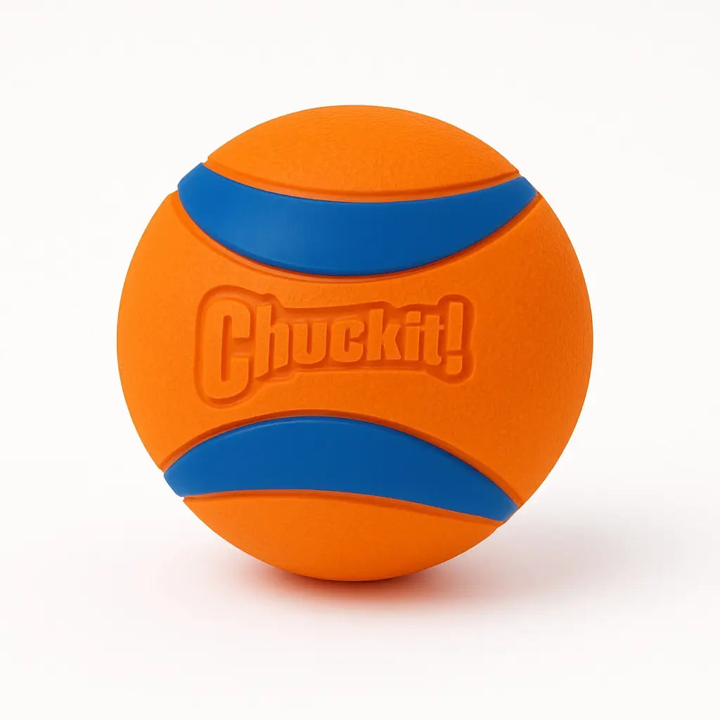 Chuckit Ultra Ball Toy in orange and blue, designed for high bounce and durability