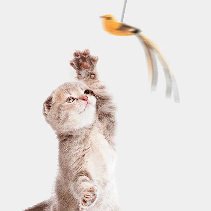 A playful kitten reaching out to catch a bird-shaped toy on a flexible wire