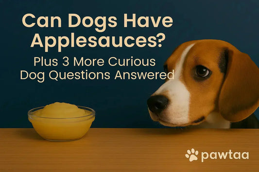 Can Dogs Have Applesauce? Plus 3 More Curious Dog Questions Answered - Pawtaa