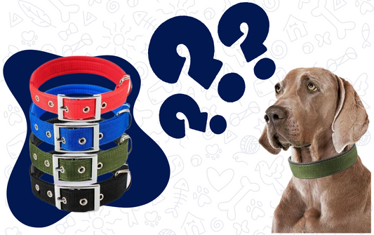 The Ultimate Guide to Dog Collars: Styles, Sizes, and Safety Tips !