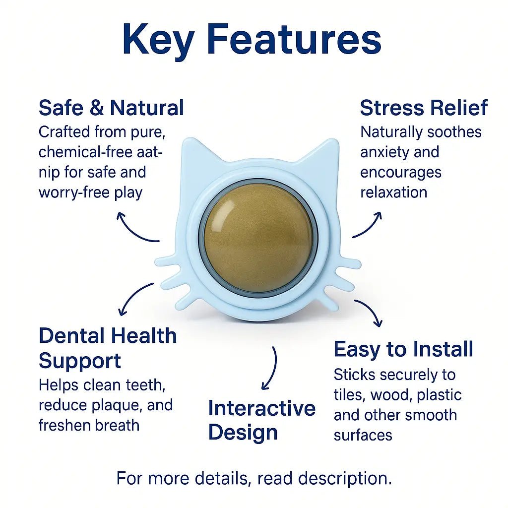 Catnip Toys – Natural Licking Balls for Stress Relief, Teeth Cleaning & Interactive Play – | Pawtaa