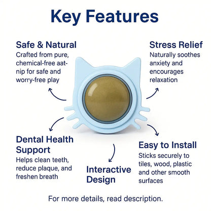 Catnip Toys – Natural Licking Balls for Stress Relief, Teeth Cleaning & Interactive Play – | Pawtaa