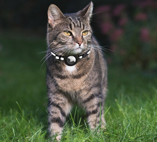 AirTag Cat Collar Reflective Adjustable Breakaway Waterproof & Safe – secondary image