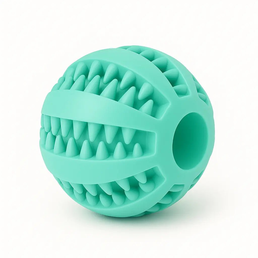 Rubber dog toys – Durable, dental - cleaning chew balls & snack dispensers – | Pawtaa