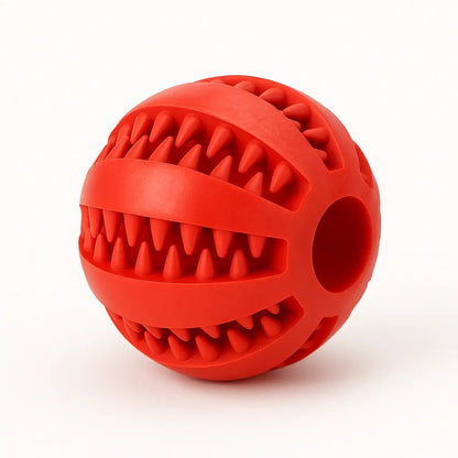 Rubber dog toys – Durable, dental - cleaning chew balls & snack dispensers – | Pawtaa
