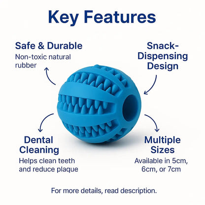 Rubber dog toys – Durable, dental - cleaning chew balls & snack dispensers – | Pawtaa