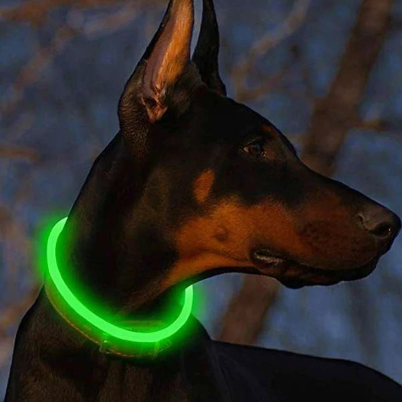 LED Dog Collar - USB Rechargeable, 3 Modes & Bright for Nighttime Safety