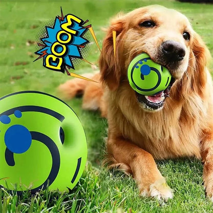 Squeaky Chew Ball - Durable, Textured, Interactive & Dental Health for Cats and Dogs