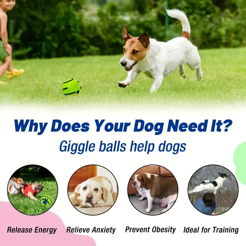 Squeaky Chew Ball - Durable, Textured, Interactive & Dental Health for Cats and Dogs