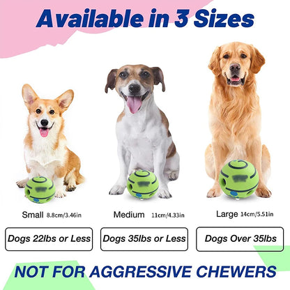 Squeaky Chew Ball - Durable, Textured, Interactive & Dental Health for Cats and Dogs