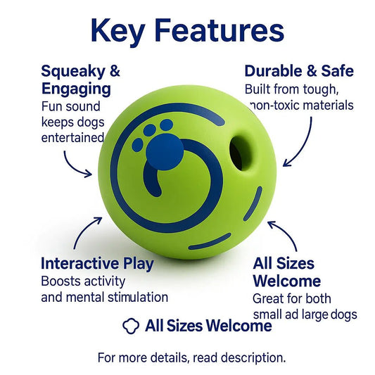 Squeaky toy sound – Doge big ball, durable, textured, interactive, and ideal for dental health – | Pawtaa – secondary image