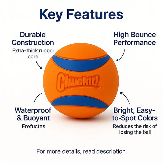 Dog Ball – Chuckit Ultra, durable, waterproof, bounce - enhancing, and safe for outdoor fetch games – | Pawtaa – secondary image