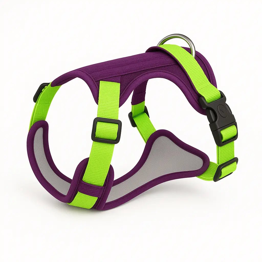 Tactical Dog Harness – Reflective, Waterproof, and Adjustable for Medium & Large Dogs – | Pawtaa