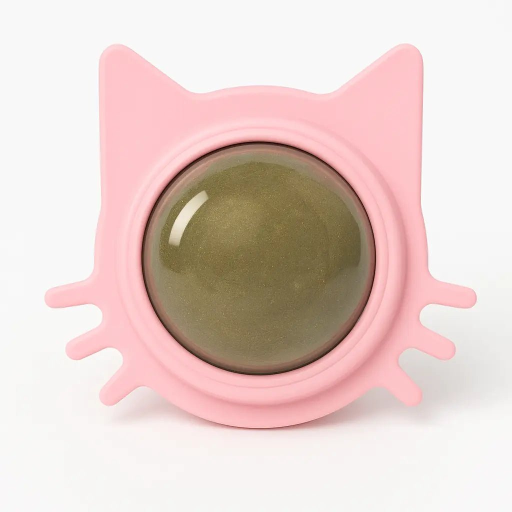 Catnip Toys – Natural Licking Balls for Stress Relief, Teeth Cleaning & Interactive Play – | Pawtaa
