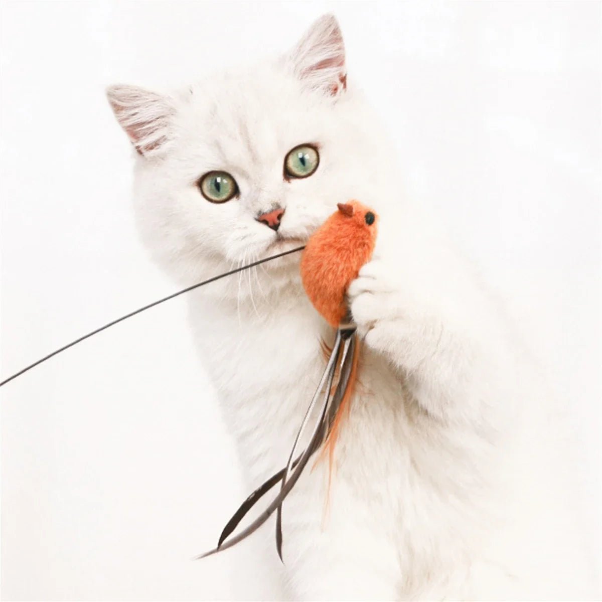 A white cat playing with a bird-shaped toy attached to a wire